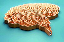 کاسب‌سازی یا عقلانیت فرهنگی؟ نقدی بر یک دوگانه‌سازی خطرناک