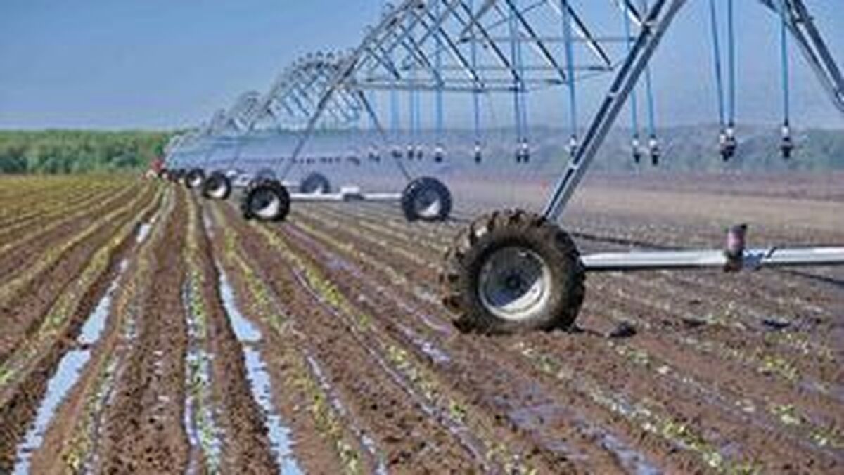 وقتی هر قطره آب طلا می‌شود؛ درس‌هایی برای ایران از آسیای میانه