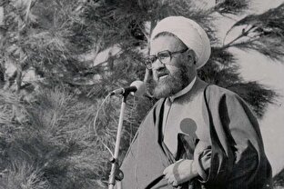 شهید مطهری و طرفداری از شاه!؟