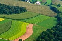 خلع ید بیش از ۲ هزار هکتار از اراضی ملی مازندران