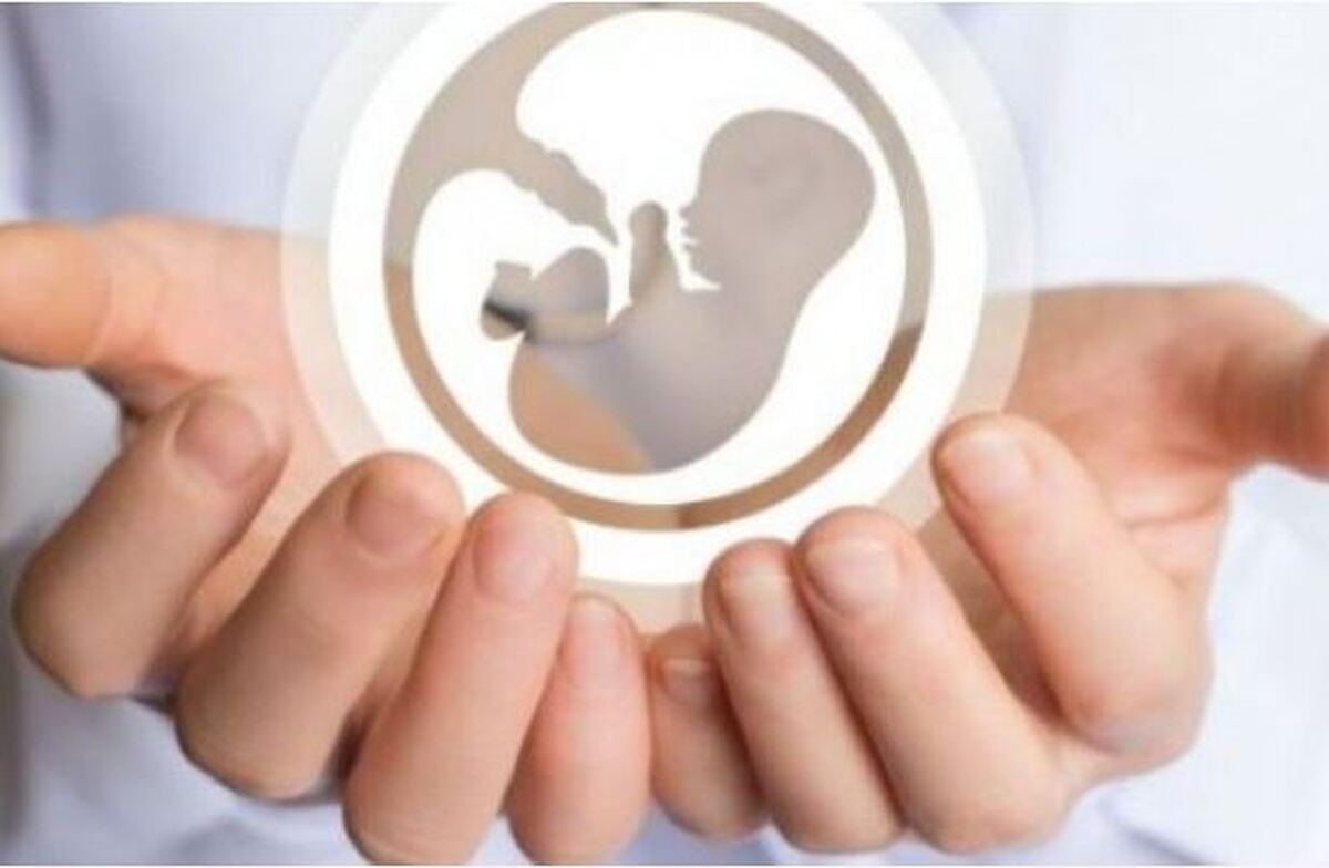 دولت رفع مشکلات زوجین نابارور را جدی پیگیری کند