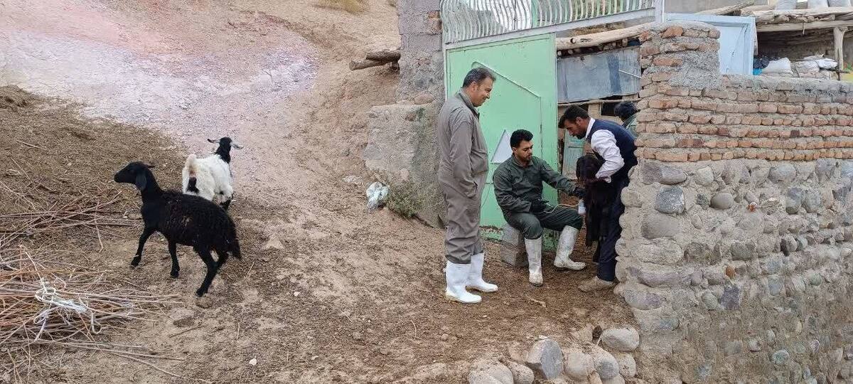 اجرای کارزار خدمت بسیج برای پیشگیری از بیماری‌های دامی در روستاهای مراغه