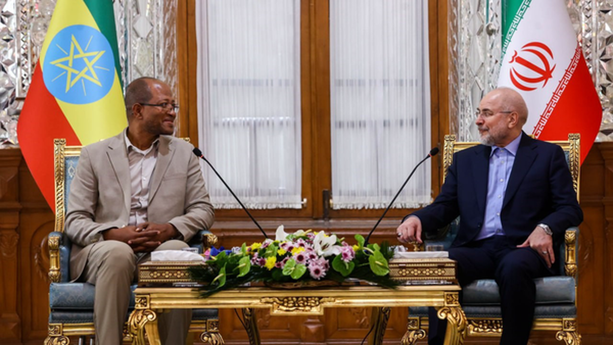 عضویت در بریکس زمینه توسعه روابط ایران و اتیوپی است
