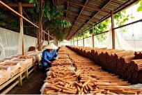 داستان ادویهای که جهان را تغییر داد