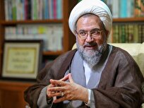 آزادی بیان غیر از ایذاء دیگران و هرزگویی و ناسزاگویی و انکار مسلمات است/ خلع لباس کافی نیست