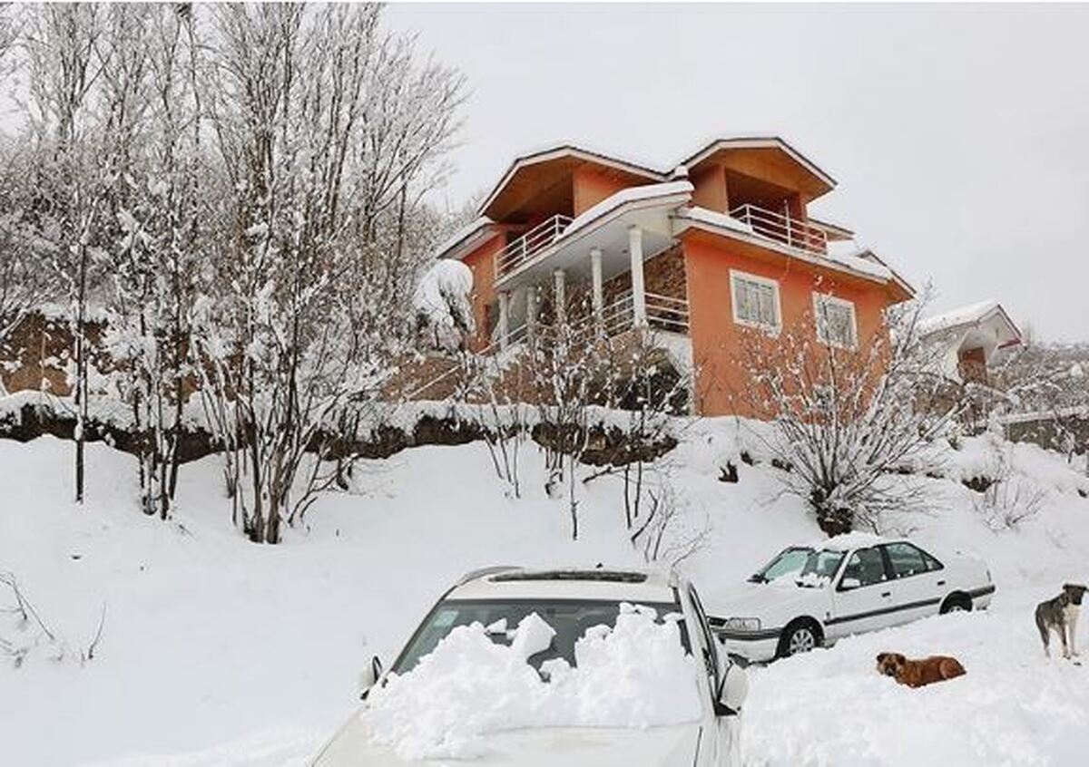 هواشناسی ایران ۱۴۰۴/۹/۲۶؛ بارش گسترده برف و باران در کشور/ هشدار کاهش ۱۵ درجه‌ای دما در ۲۳ استان