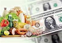 پشت‌پرده گرانی مواد غذایی با وجود تخصیص ارز ترجیحی