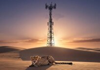 یوزپلنگ آسیایی زیر چتر فناوری