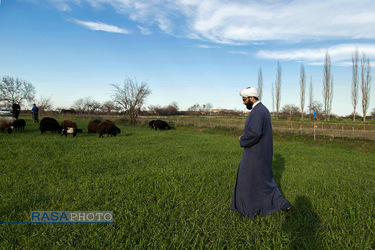 یکی دیگر ز فعالیت های اقتصادی حجت الاسلام محمد هادوی پور خراسانی کشاورزی و کار کردن در مزارع روستا است