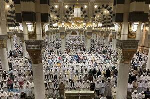 حال و هوای مسجد النبی (ص) در ایام حج