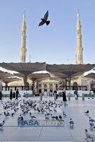 حال و هوای زائران در مدینه منوره
