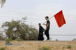 پیاده روی زائران اربعین حسین (ع) در طریق العلما