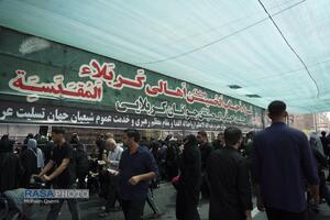 پیاده روی جاماندگان اربعین در تهران