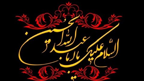 فقہ نے عاشورا کے نور کی تابش کو تاریخ کی وسعتوں تک پہنچایا