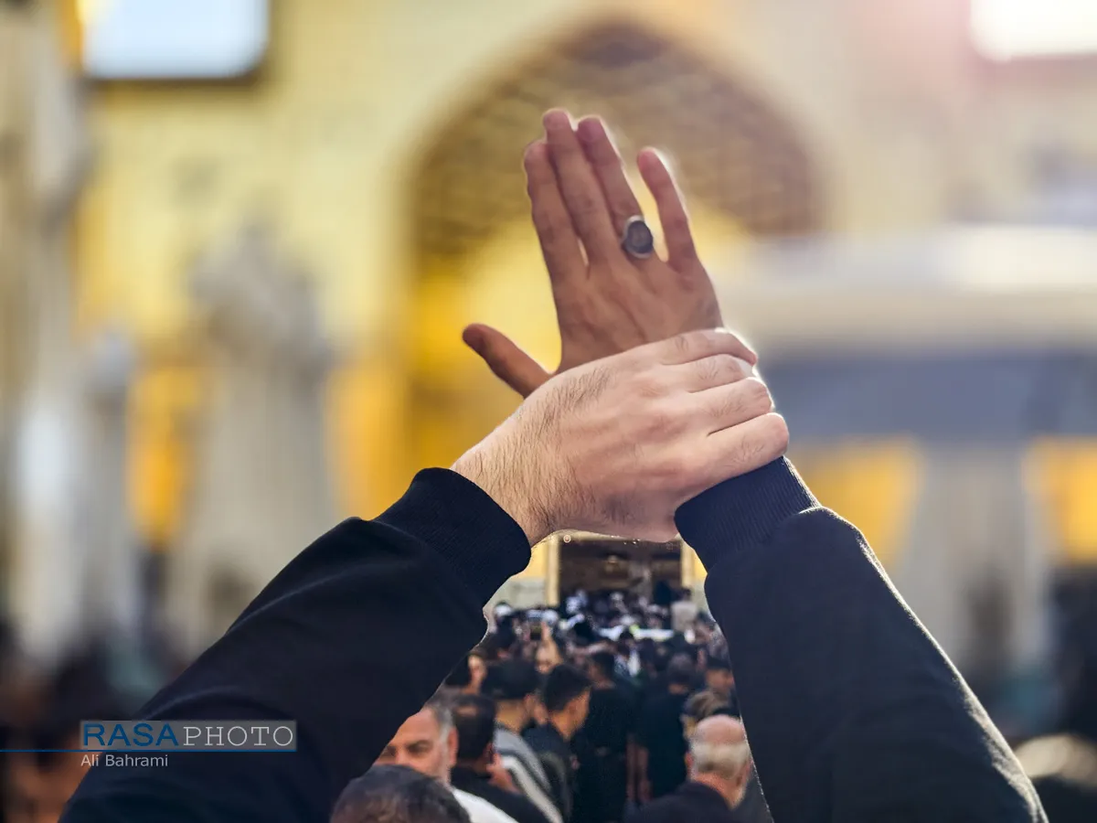حرم حضرت امام امیرالمؤمنین (ع) در آستانه اربعین حسینی
