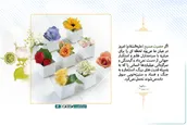 اگر حضرت مسیح امروز در میان ما بود...
