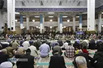 آئین جزء&zwnj;خوانی قرآن کریم در حرم کریمه اهل&zwnj;بیت (ع)