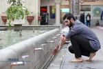 سفره افطاری حرم حضرت فاطمه معصومه (سلام&zwnj;الله&zwnj;علیها) در ماه مبارک رمضان