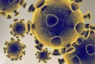 US, Israel waging biological warfare on massive scale