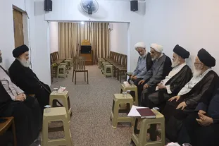 دیدار هیئت اعزامی از سوی رهبر معظم انقلاب با علماء نجف