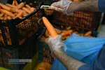 هدیه طلبه&zwnj;های جهادی به بیماران و کادر درمانی قم