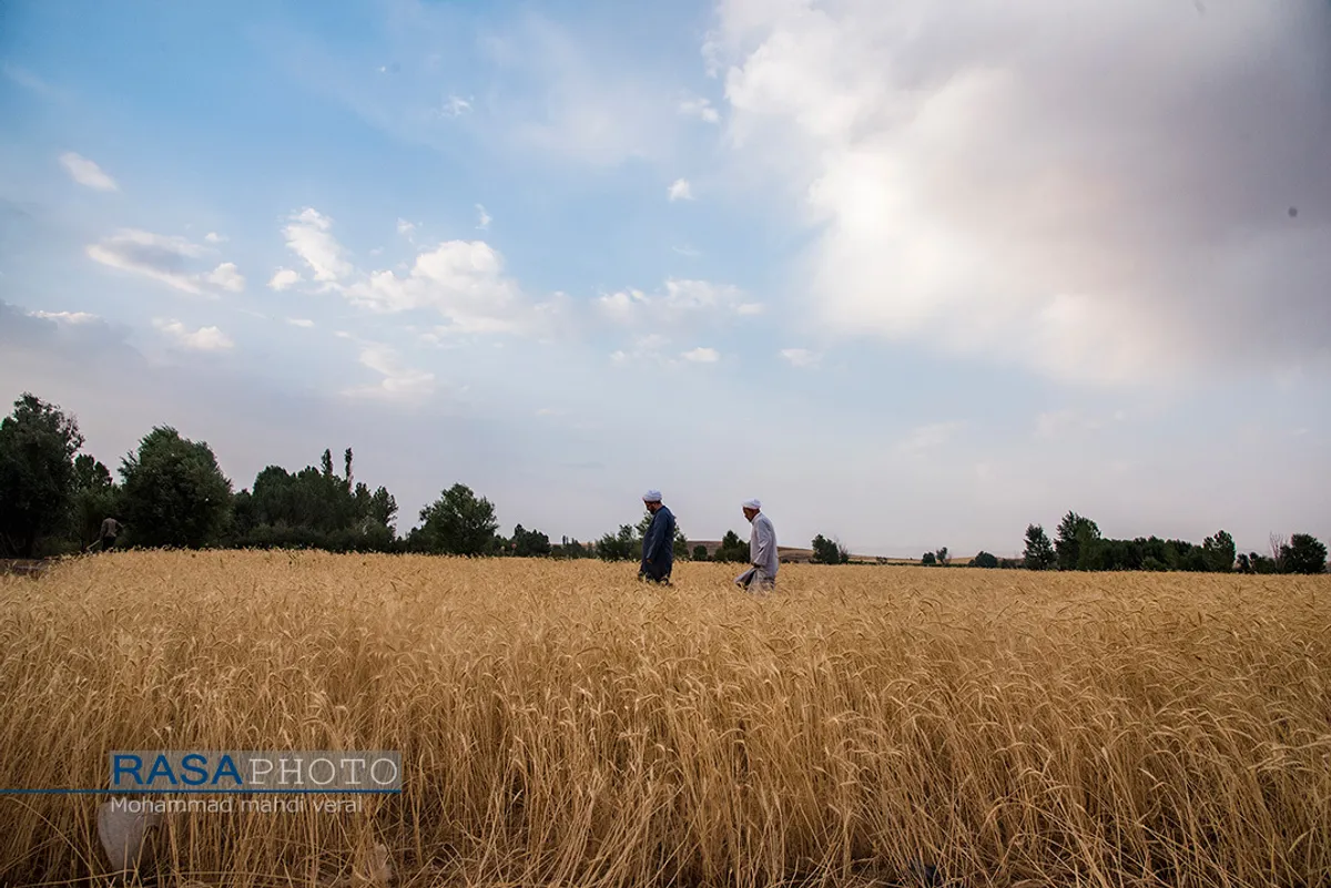 تبلیغ زکات | این است دین درست