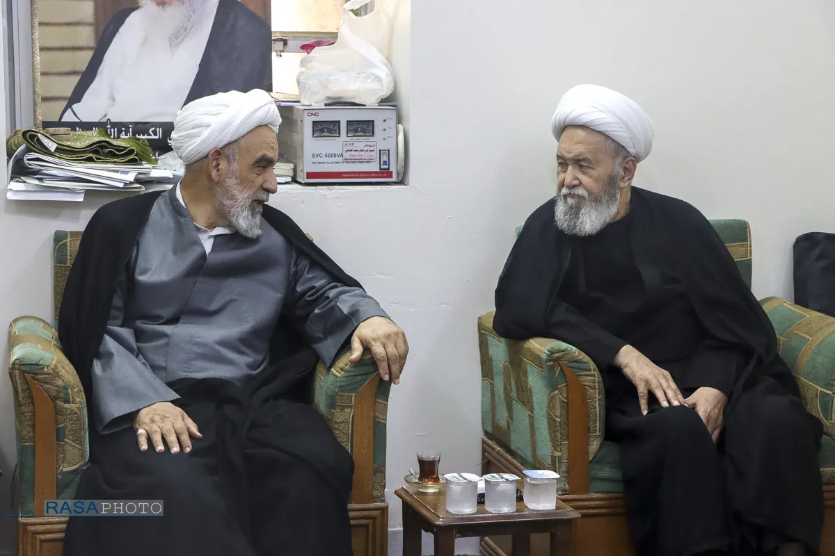 دیدار هیئت اعزامی از سوی رهبر معظم انقلاب با علماء نجف