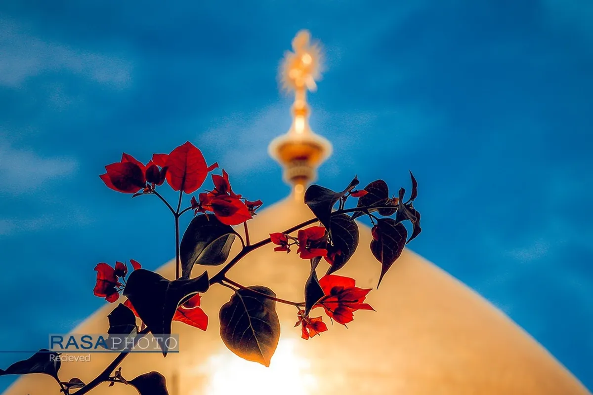حرم مطهر مولی الموحدین حضرت امام علی بن ابیطالب (علیه&zwnj;السلام)