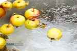 هدیه طلبه&zwnj;های جهادی به بیماران و کادر درمانی قم