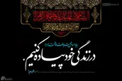 باید احساس محبت به حضرت زهرا را در زندگی خود پیاده کنیم