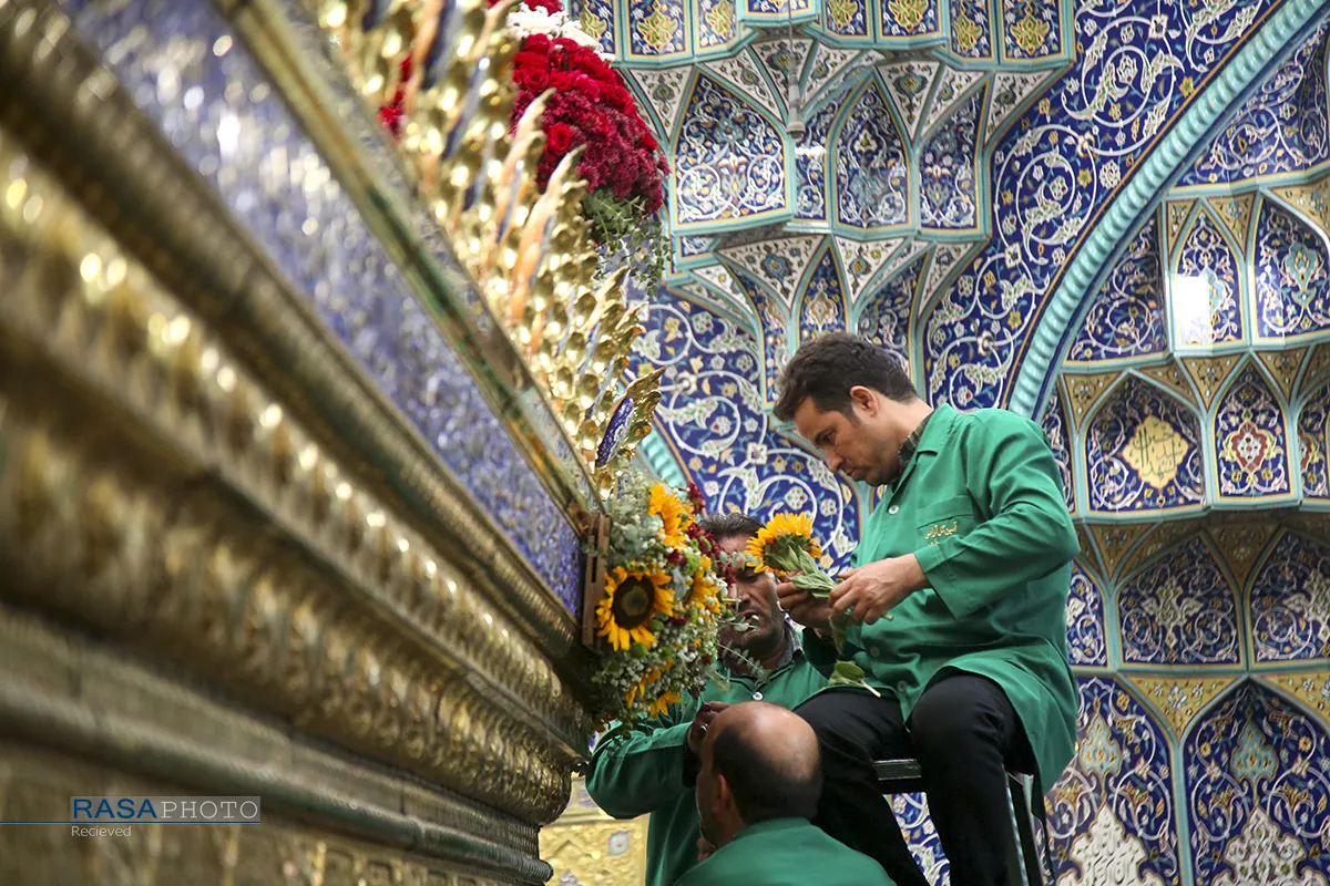 گل&zwnj;آرایی ضریح مطهر حضرت معصومه (س) در سالروز ورود ایشان به قم
