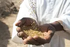 The amount of zakat al-fitrah was announced based on the fatwa of the Supreme Leader ‎
