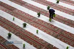 سفره افطار حرم کریمه اهلبیت (سلام&zwnj;الله&zwnj;علیها) در قم