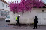 مسجد حضرت صاحب الزمان (عج) پایگاهی برای مقابله با کرونا