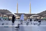 حال و هوای زائران در مدینه منوره