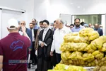 بازدید&zwnj;های نماینده ولی فقیه از مراکز خدمات به حجاج ایرانی