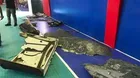 Iran downing of sophisticated US spy drone can be repeated