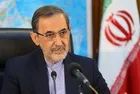 IRGC's Rising Nationwide Support Means US Hostile Move Backfired