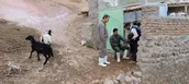 اجرای کارزار خدمت بسیج برای پیشگیری از بیماری‌های دامی در روستاهای مراغه