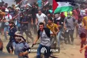 نماهنگ | زوال بدون توقف