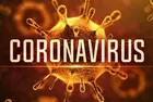 Coronavirus: The reality vs propaganda