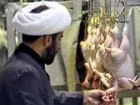 آیا نظارت شرعی بر واردات گوشت حذف شده است؟