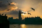 UK Mosques Become Targets of Anti-Muslim Hate Crimes