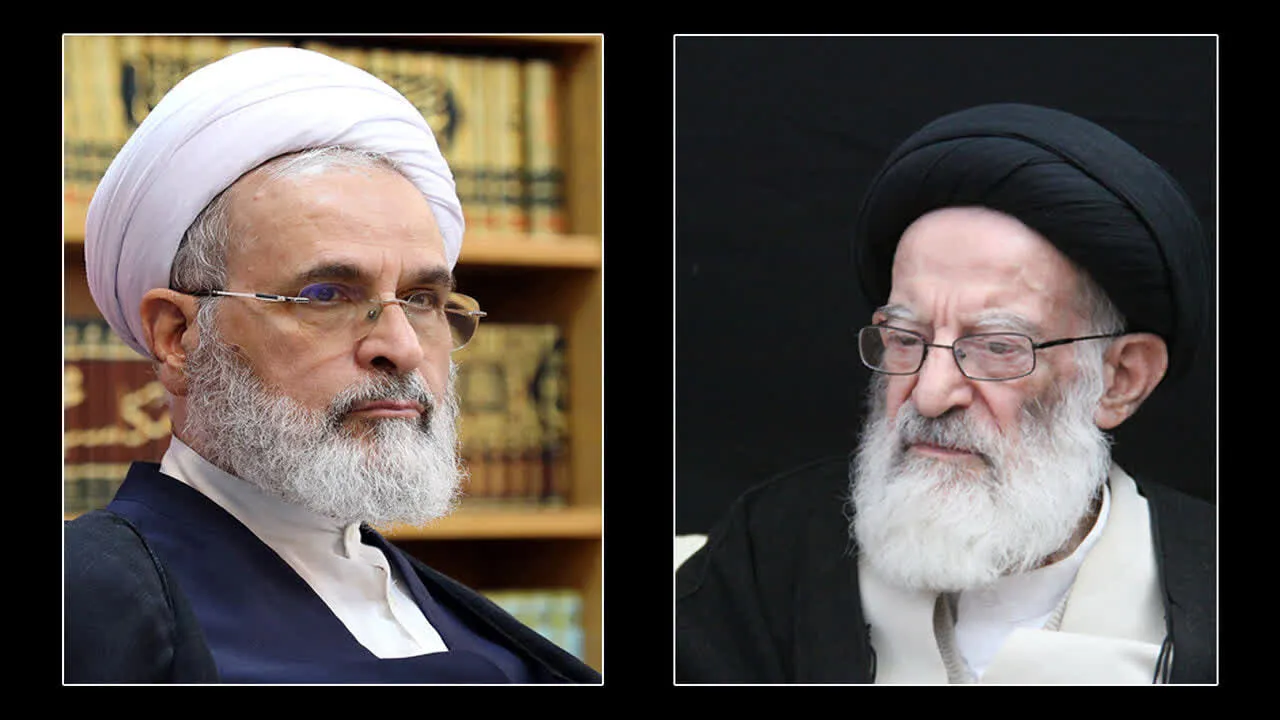 خدمات آیت الله شبیری زنجانی ستایش برانگیز است/ تعطیلی دروس حوزه تا پایان هفته