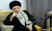آیت الله حکیم بر گسترش محبت در میان ملیت‎های مختلف تاکید کرد