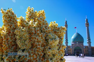 اجرای ۱۰ هزار نفری سرود "سلام فرمانده۲" در مسجد مقدس جمکران