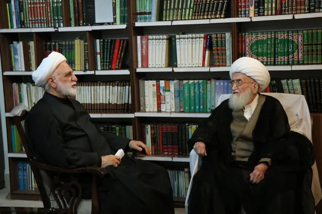 خدشه به وحدت مورد تأکید رهبری، کمک به دشمن است/ با مخلان امنیت و اقتصاد قاطعانه برخورد شود