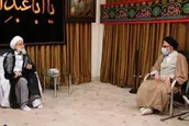 تقدیر آیت الله نوری همدانی از ایثارگری های سربازان گمنام امام زمان