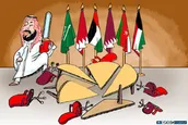 شکاف در شورای همکاری