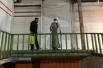 حضور جهادی مدیر حوزه علمیه استان بوشهر در ضدعفونی معابر شهر